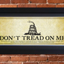 DONT TREAD ON ME FRAMED PRINT