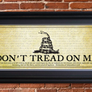 DONT TREAD ON ME FRAMED PRINT