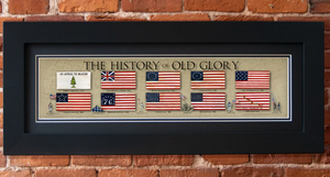 History of Old Glory Framed Print