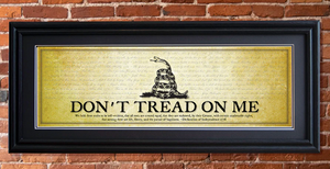 DONT TREAD ON ME FRAMED PRINT