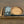 Barrel Stave Cigar Coaster