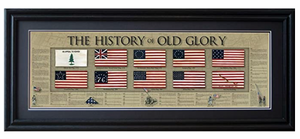 History of Old Glory Framed Print